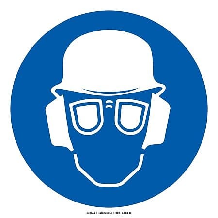 318 Helmet, hearing and eye protection must be used (AFS)